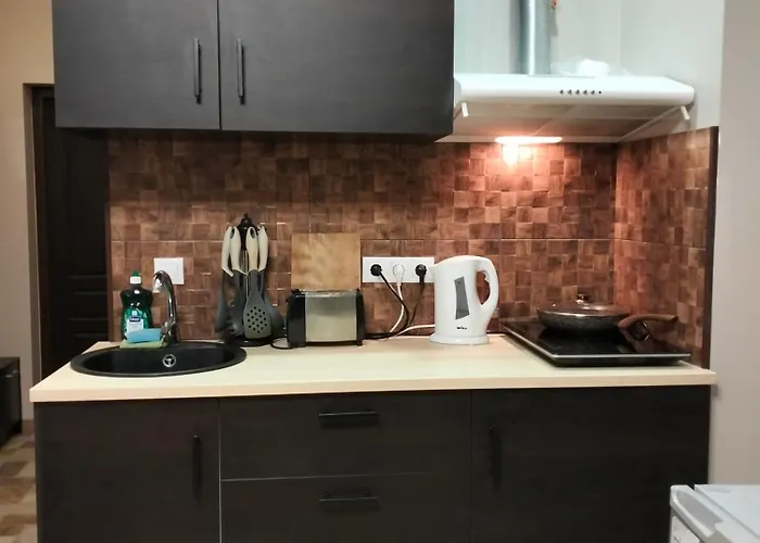 Ludvika Studio Apartment